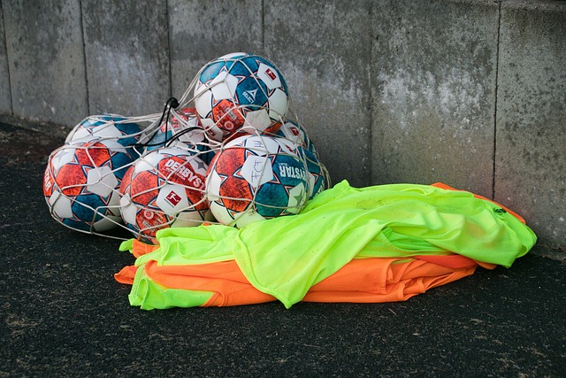 意志和冷静 意志和冷静