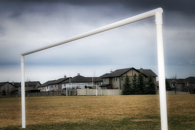 的两种截然 的两种截然