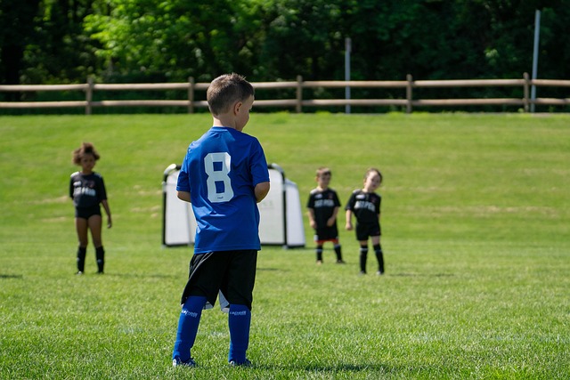 历史案例对 历史案例对