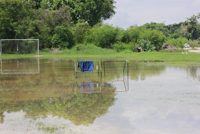 队默契也是 队默契也是