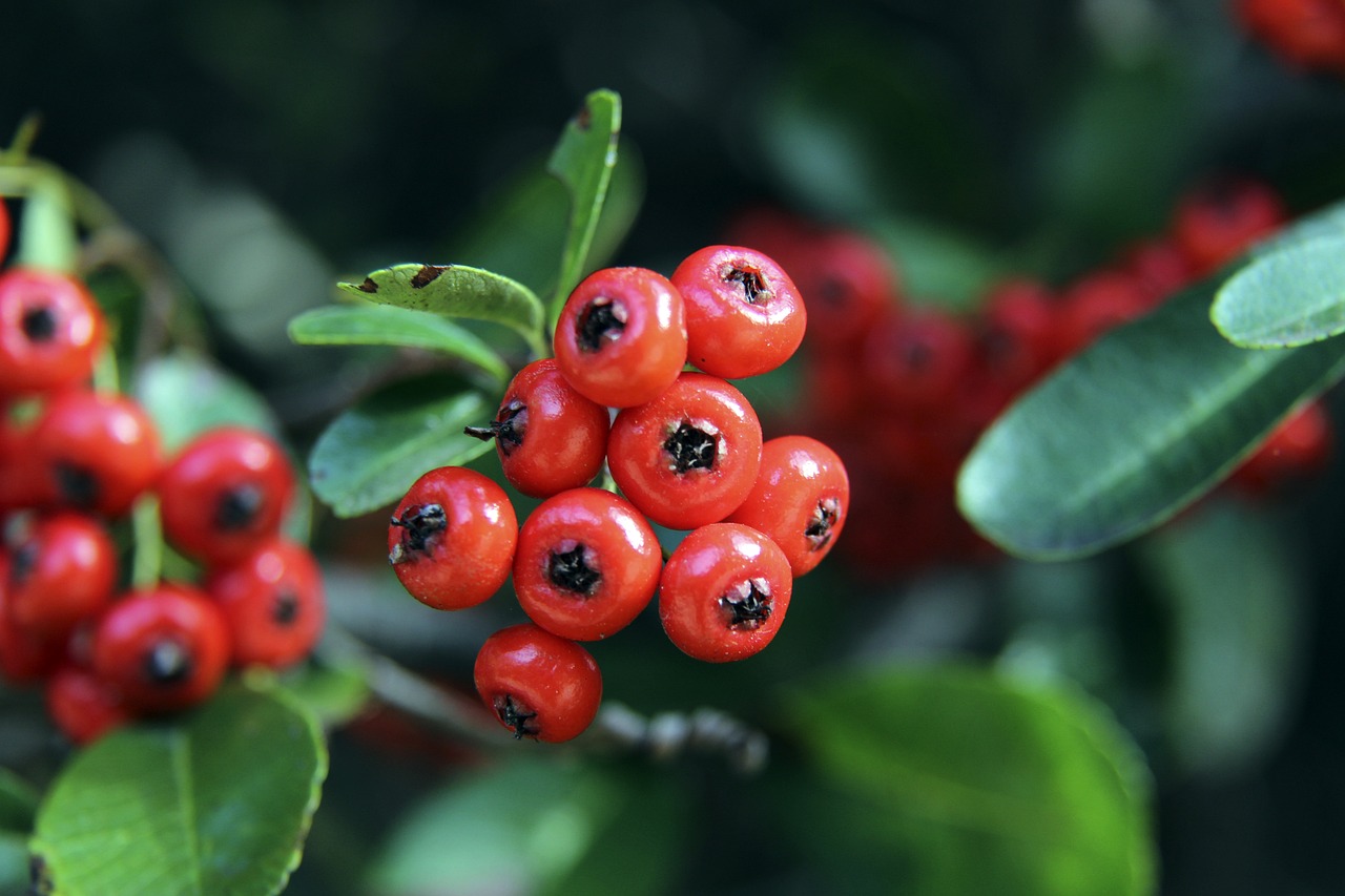 更是击中了 更是击中了