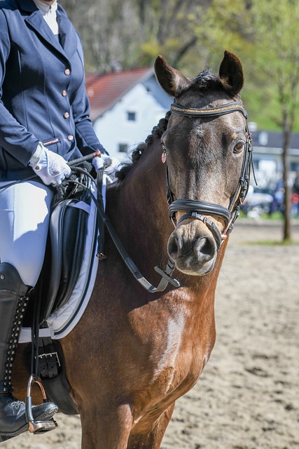 虽然两队历 虽然两队历